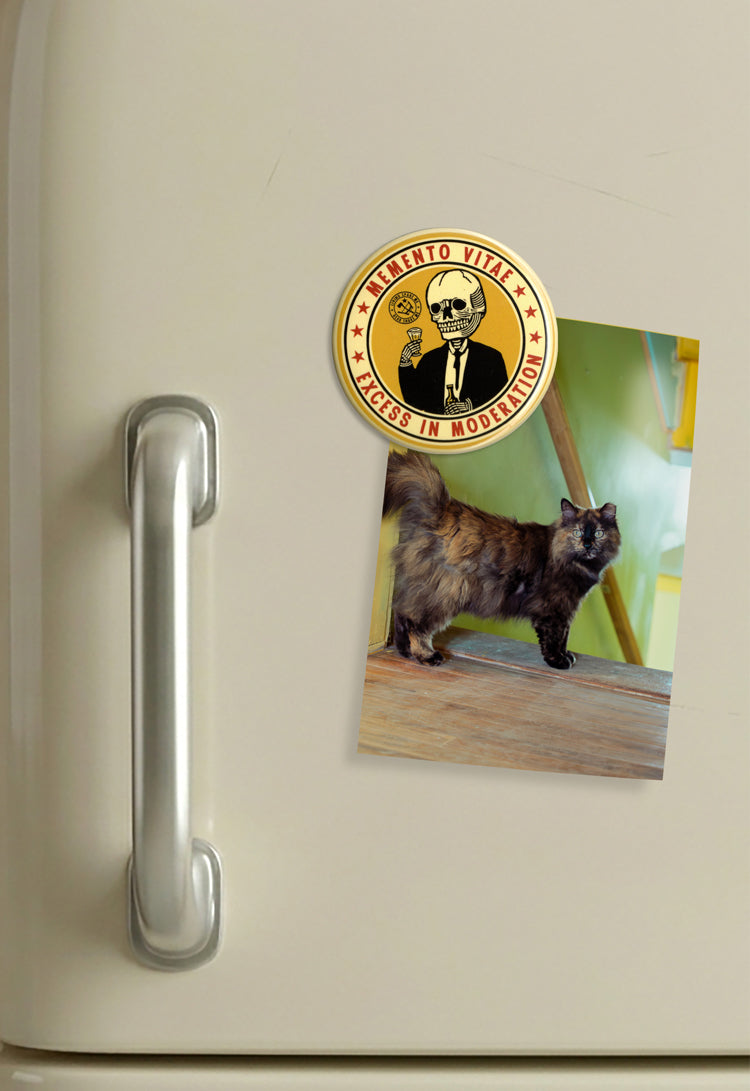 Excess in Moderation Magnet