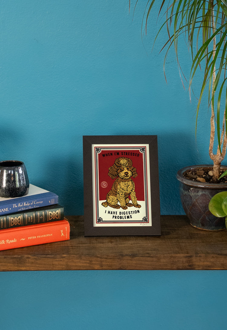 Digestion Problems Print