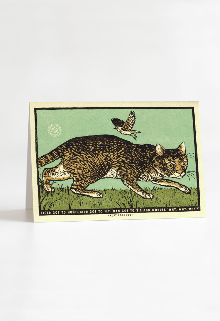 Sit and Wonder Greeting Card