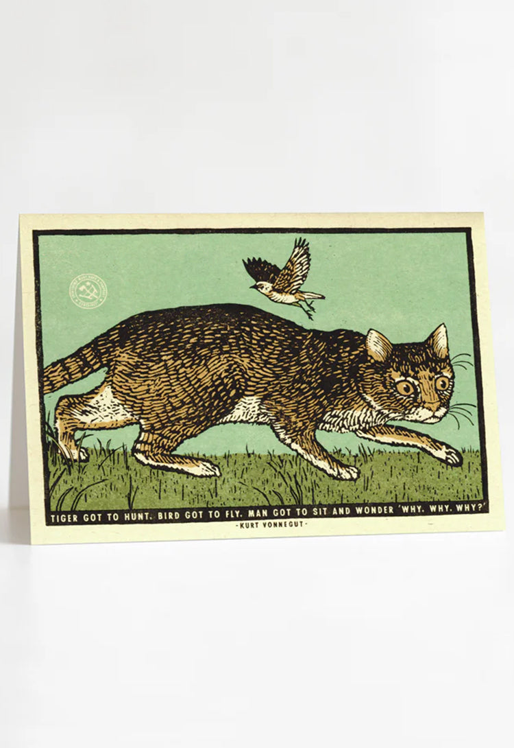 Sit and Wonder Greeting Card