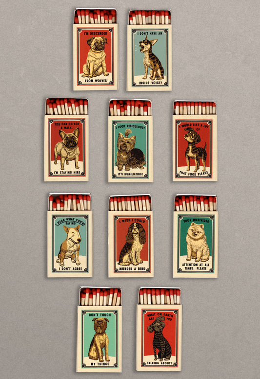 Big Personality Matchboxes