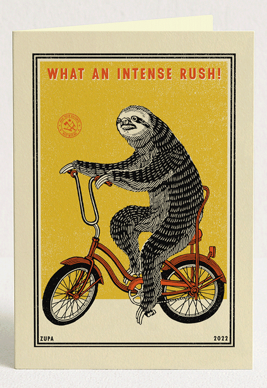 Bike Adventures Greeting Card Set