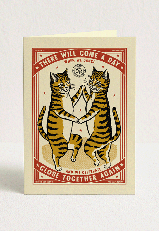 Cat Complicated Friendship Greeting Card Set