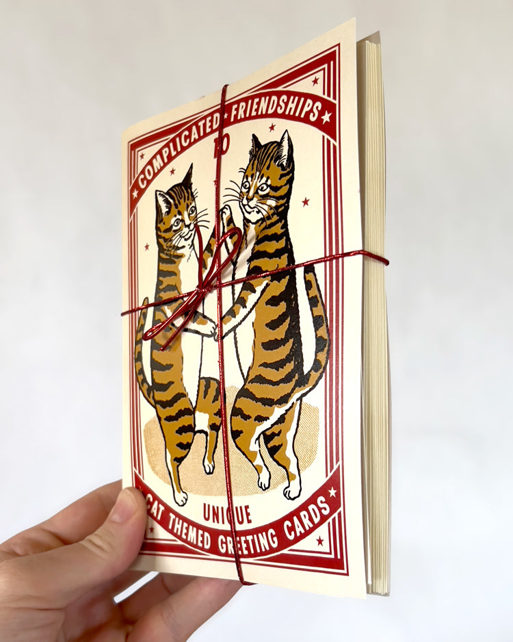 Cat Complicated Friendship Greeting Card Set