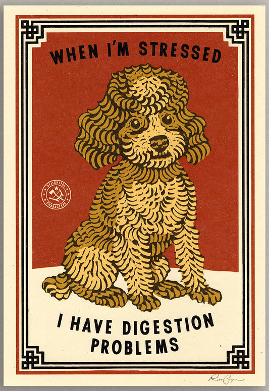 Digestion Problems Print