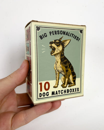 Big Personality Matchboxes