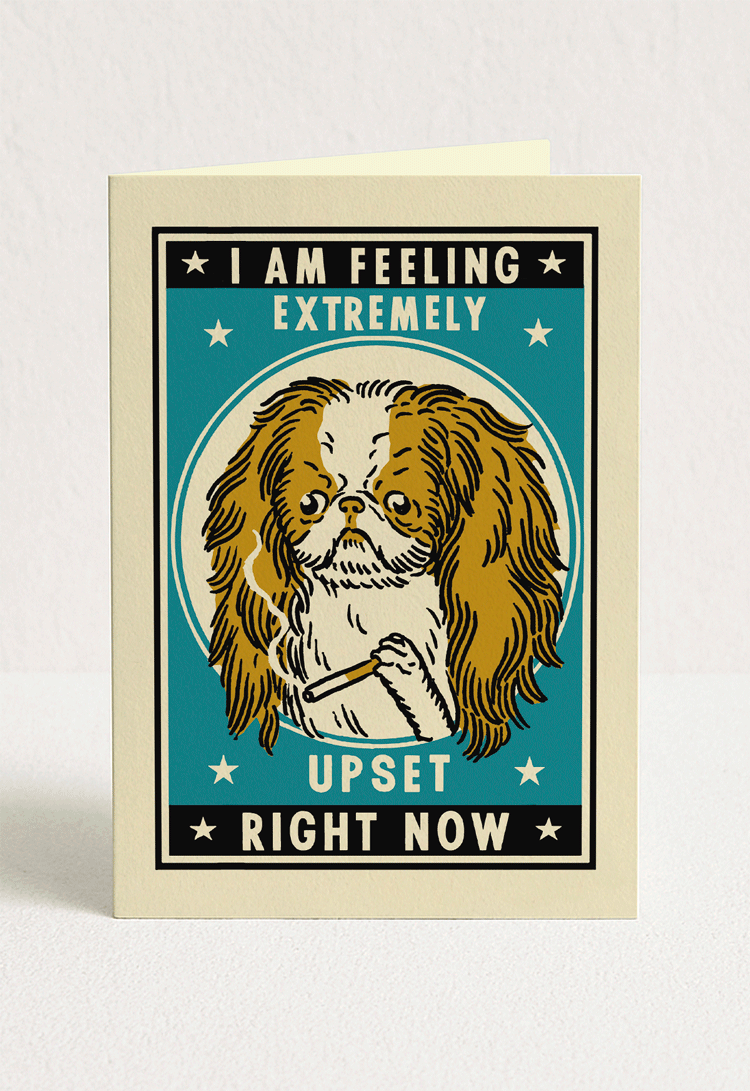 Dog Complicated Friendship Greeting Card Set