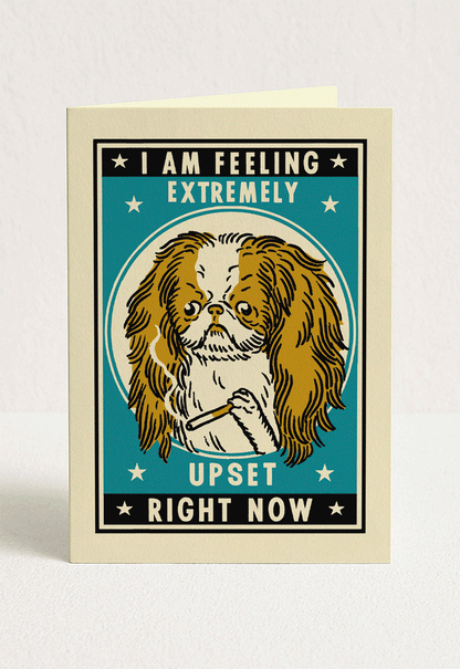 Dog Complicated Friendship Greeting Card Set