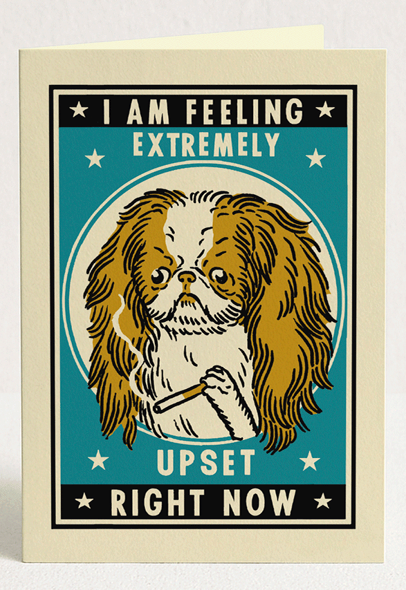 Dog Complicated Friendship Greeting Card Set