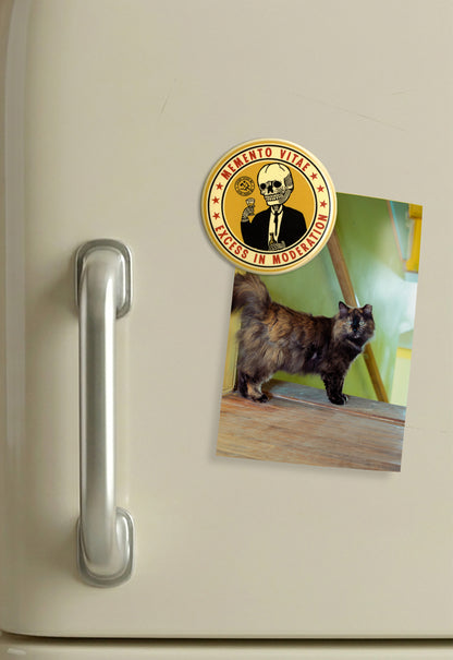 Excess in Moderation Magnet