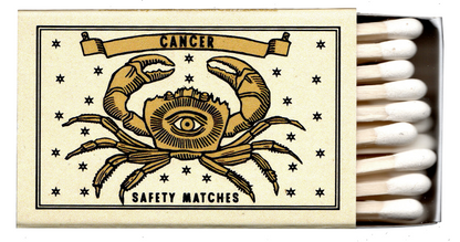 Astro-Logical Matches
