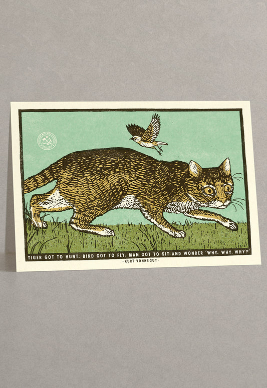 Sit and Wonder Greeting Card