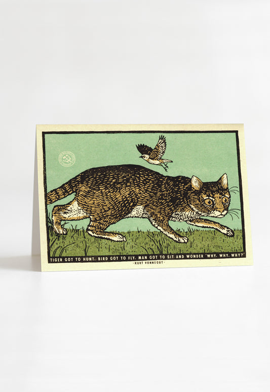 Sit and Wonder Greeting Card