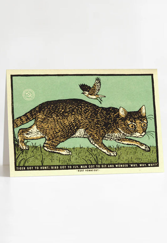 Sit and Wonder Greeting Card